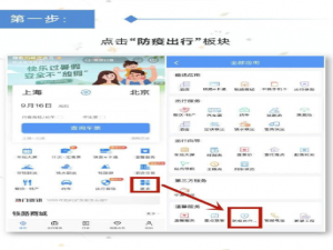 12306怎么查看防疫政策。