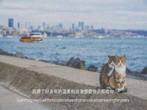 2021314文案。