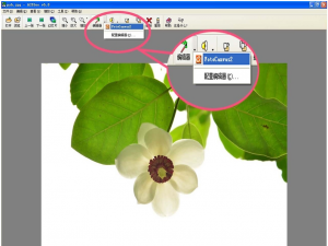 ACDSee魔棒抠图方法我来说说，效果堪比Photoshop