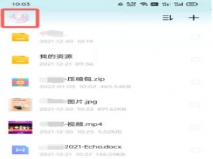 百度网盘青春版导入记录如何查看。