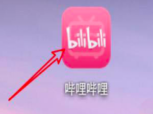 哔哩哔哩怎么隐藏投过硬币视频。