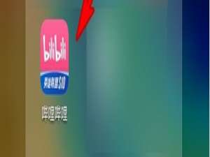 哔哩哔哩如何启用双指旋屏手势。
