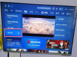 哔哩哔哩tv版在什么地方下载。