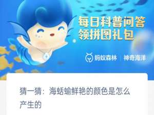 猜一猜海蛞蝓鲜艳的颜色是怎么产生的。