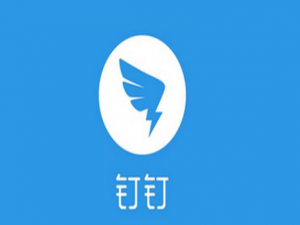 钉钉如何设置付款码。