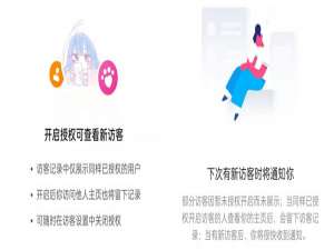 抖音主页访客记录可以看到陌生人吗。