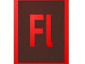 Flash cs6定义模板的详细操作。