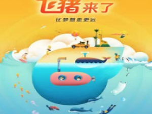 飞猪出票失败怎么回事。