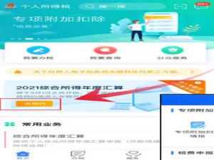 个人所得税在哪预约2021年综合所得。
