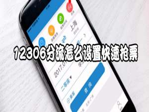 关于12306分流抢票如何设置快速抢票。