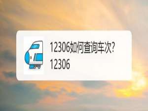 关于12306怎么查询车次。