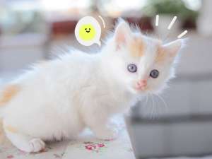 关于2020年微信朋友圈跨年必发说说合集。