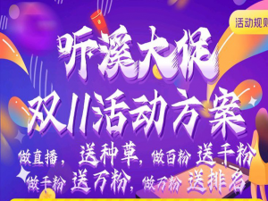 关于2020小红书双十一有什么促销活动。