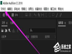 关于Audition