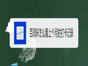 关于百词斩如何查看上月打卡记录。