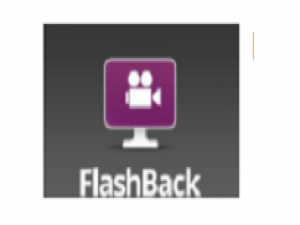 关于BB FlashBack将视频画面进行水平翻转的操作教程