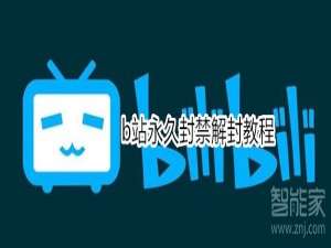 关于b站永久封禁能解封吗。