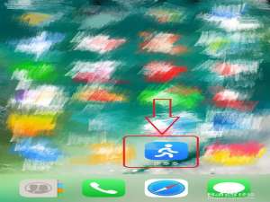 关于步多多app如何检查版本信息。