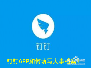 关于钉钉人事档案在什么地方写。