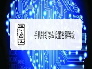 关于钉钉密聊私密等级怎么设置。