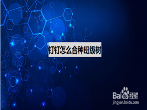 关于钉钉班级树是什么。