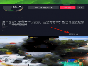 关于抖音喜欢作品列表怎么禁止他人可见。