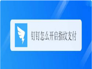 关于钉钉指纹支付怎么开启。