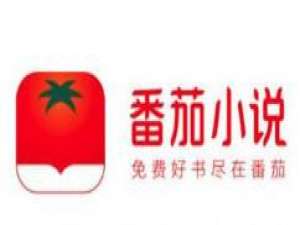 关于番茄小说怎么提交用户建议。