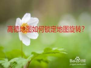关于高德地图地图旋转怎么锁定。