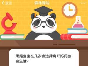 关于黑熊宝宝在几岁会选择离开妈妈独自生活。