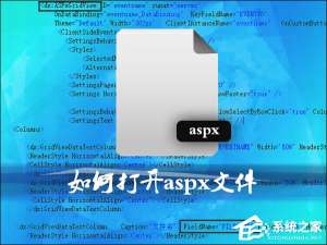 关于后缀aspx是什么文件类型（后缀es是什么文件类型）