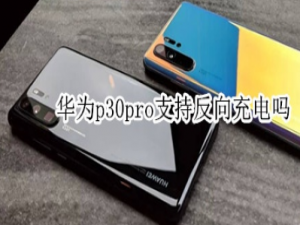 关于华为p30pro可以反向充电吗。