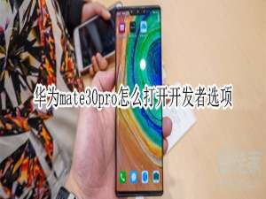 关于华为mate30pro如何打开开发者选项。