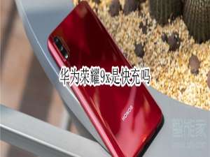 关于华为荣耀9x是不是快充。