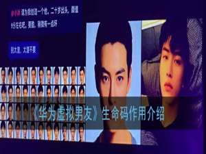 关于华为虚拟男友生命码有什么用。