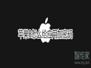 关于iphone8怎么给应用加密码。