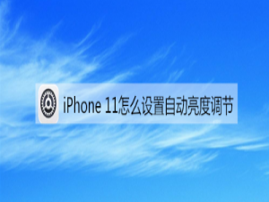 关于iPhone 11自动亮度调节在哪打开。