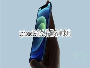 关于iphone12怎么查看来电黑名单。