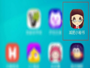 关于减肥小秘书时间格式如何设置。