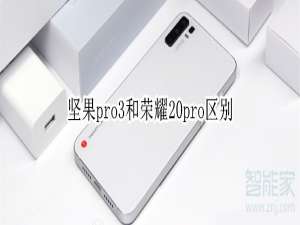关于坚果pro3和荣耀20pro有什么区别。