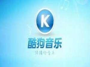 关于酷狗音乐查看本地歌曲音质的详细过程 酷狗音乐怎么查看充值记录