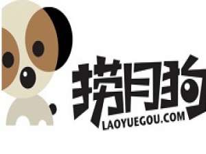 关于捞月狗的简单使用方法。