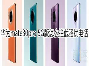 关于mate30pro5G版如何拦截骚扰电话。