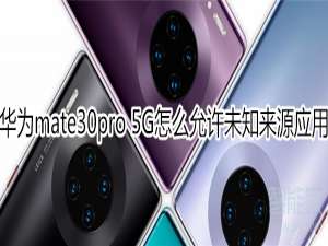 关于mate30pro5G版如何允许安装未知来源应用。