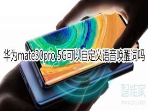 关于mate30pro5G版能自定义语音唤醒词吗。