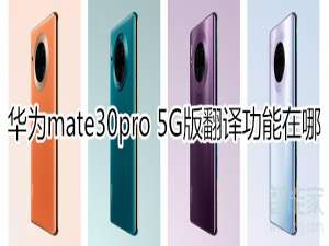 关于mate30pro 5G版翻译功能在什么位置。