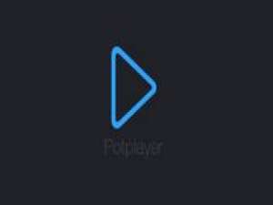关于PotPlayer中常用功能的具体设置方法 关于去阴间的方法