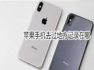 关于苹果手机去过地方记录在什么位置。