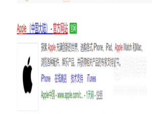 关于苹果手机怎么查真假。