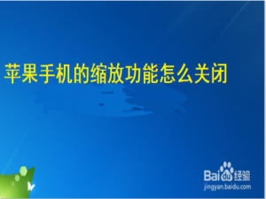 关于苹果手机的缩放功能如何设置。